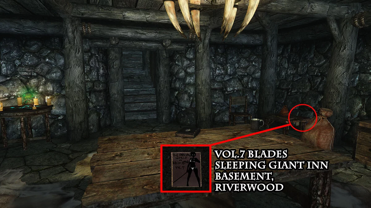 The Elder Scrolls 5: Skyrim Legendary Edition — Коллекция доспехов-бикини