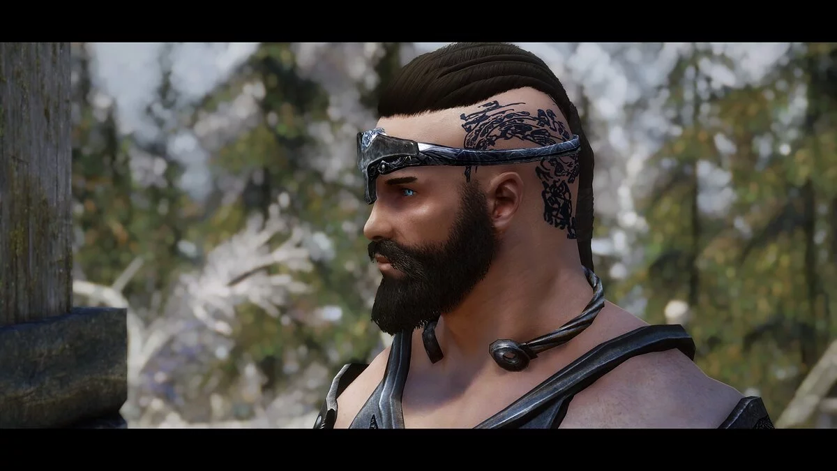 Elder Scrolls 5: Skyrim Special Edition — Компаньон Рагнар