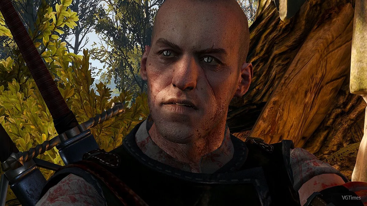 The Witcher 3: Wild Hunt — Канонічний ретекстур Відьмаків