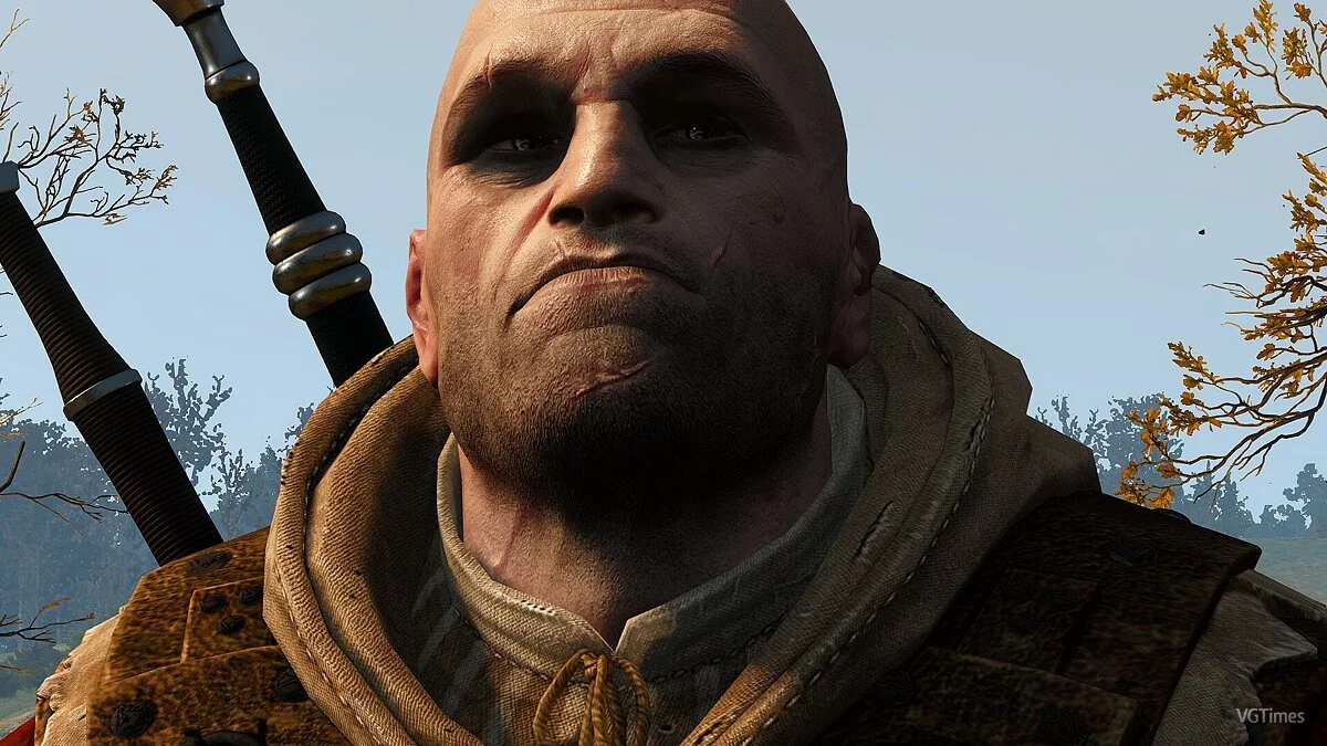 The Witcher 3: Wild Hunt — Канонічний ретекстур Відьмаків