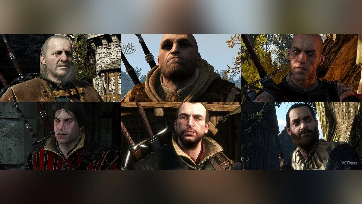 The Witcher 3: Wild Hunt — Canonical retexture of the Witchers