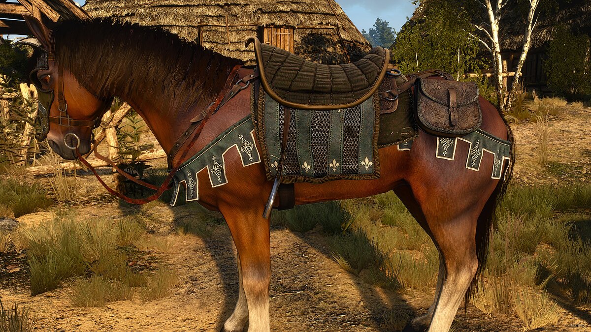 The Witcher 3: Wild Hunt — Improved equipment textures for Roach