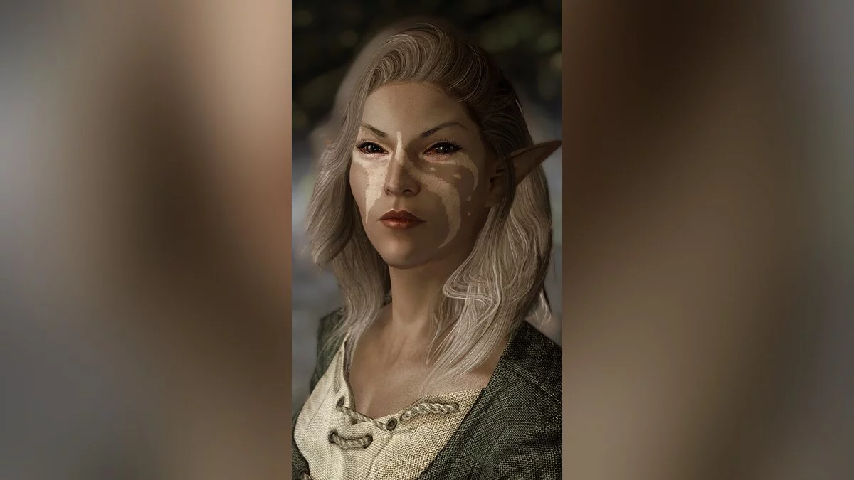 The Elder Scrolls 5: Skyrim Legendary Edition — Реалистичные NPC