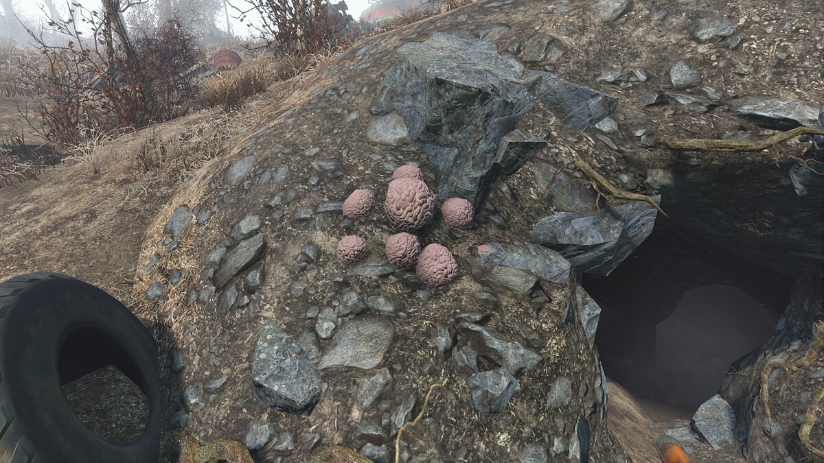 Fallout 4: Game of the Year Edition — Improved Brain Mushroom