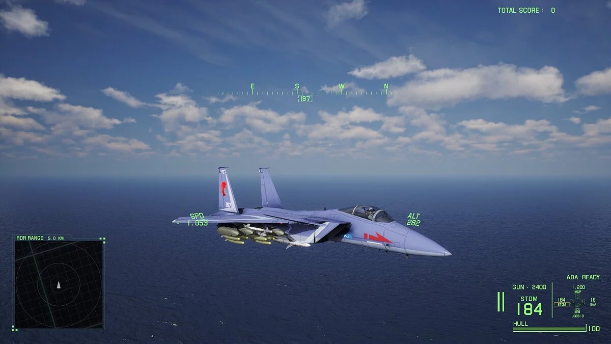 Project Wingman — FS-15 - Обличчя зі шрамом