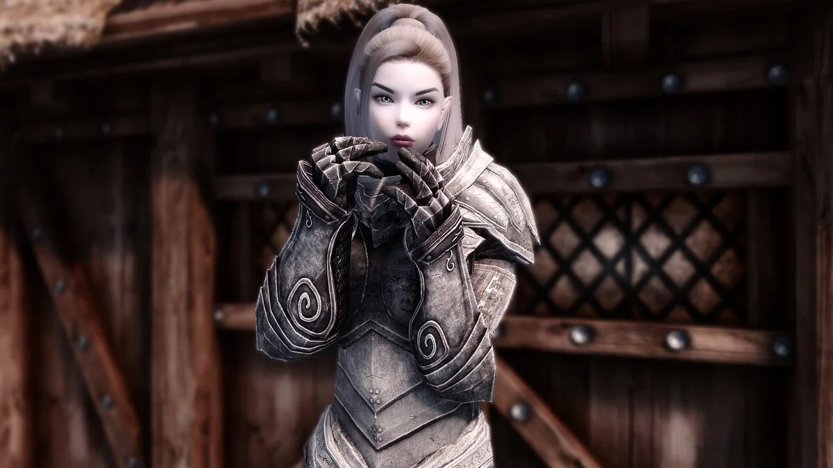 Elder Scrolls 5: Skyrim Special Edition — Snow Elf Companion