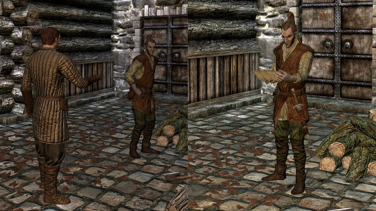 Elder Scrolls 5: Skyrim Special Edition — Курьер для NPC