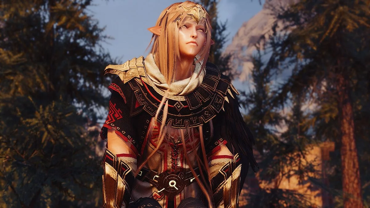 The Elder Scrolls 5: Skyrim Legendary Edition — Рен - компаньйон ельф