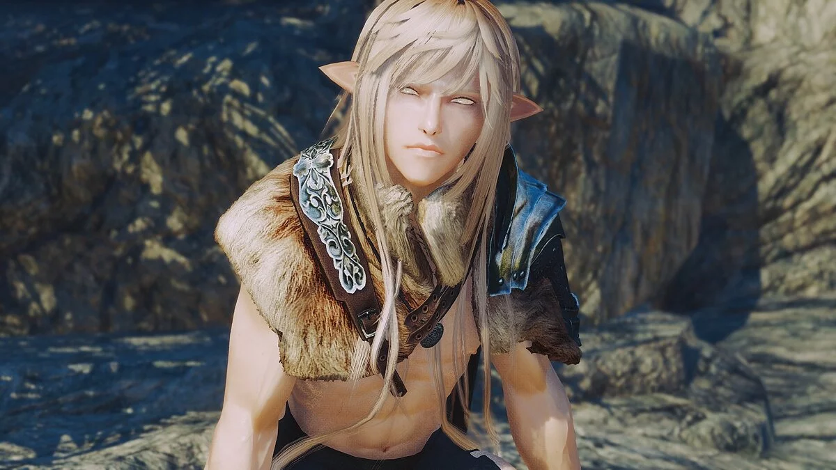 The Elder Scrolls 5: Skyrim Legendary Edition — Рен - компаньйон ельф