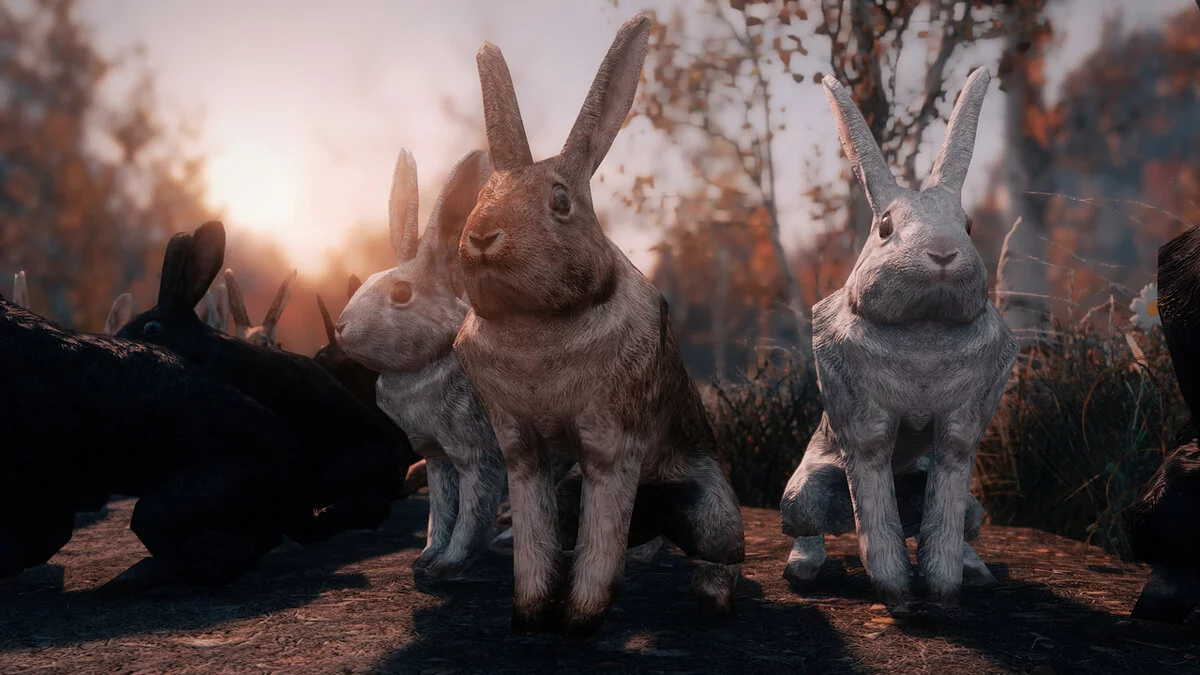 The Elder Scrolls 5: Skyrim Legendary Edition — Real rabbits HD