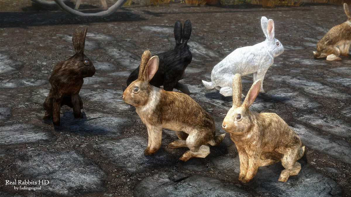 Elder Scrolls 5: Skyrim Special Edition — Real rabbits HD