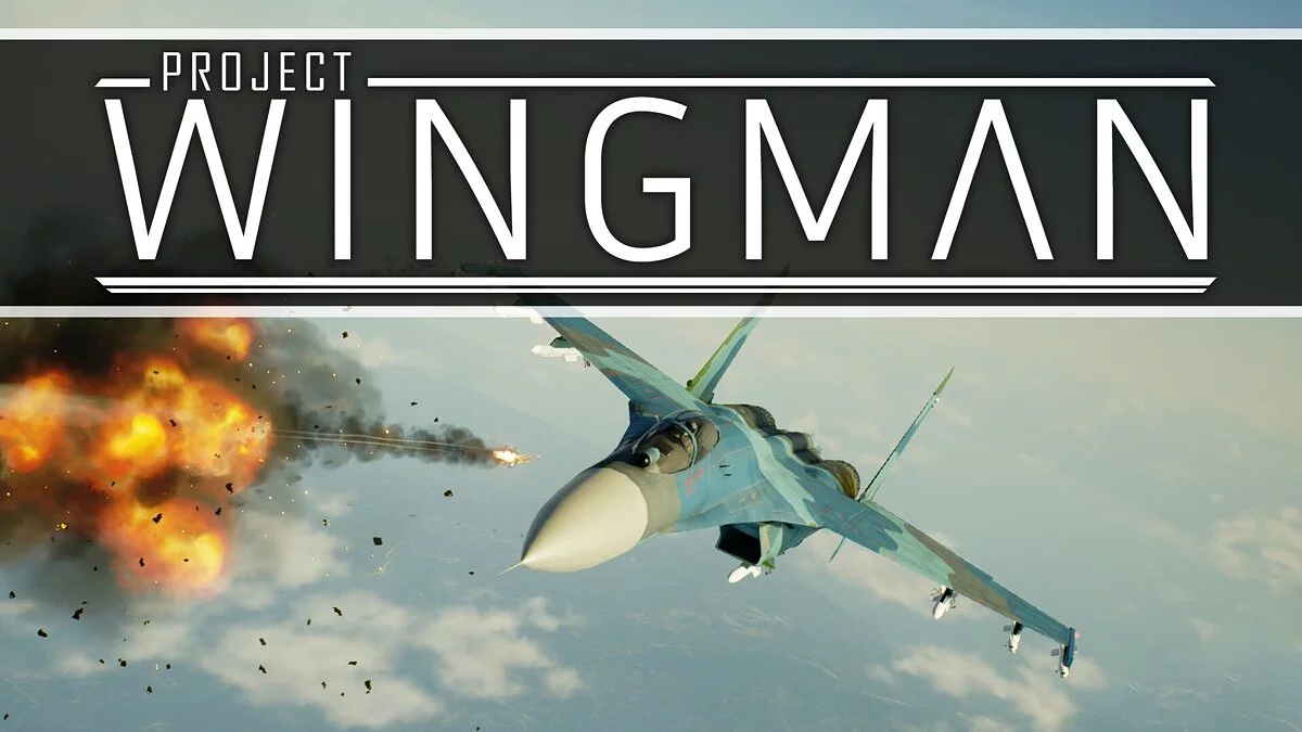 Project Wingman — Table for Cheat Engine [1.0.3.20.1201.3199]