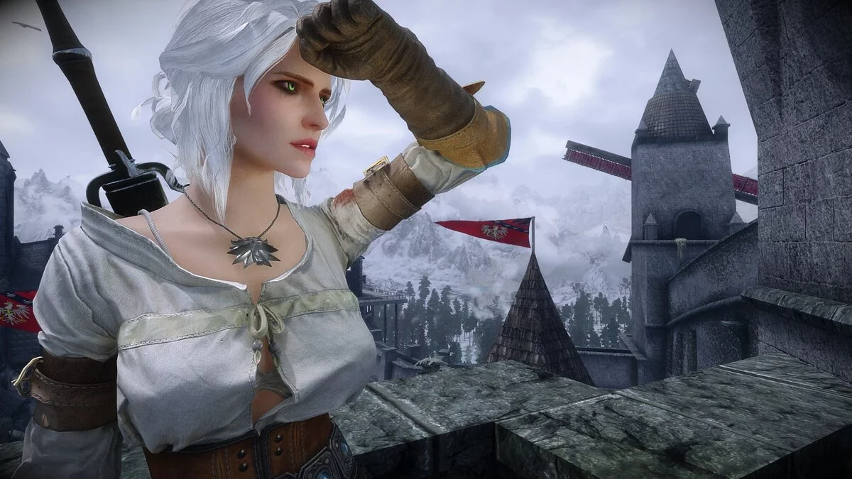 Elder Scrolls 5: Skyrim Special Edition — HD textures and physics for Ciri's costume