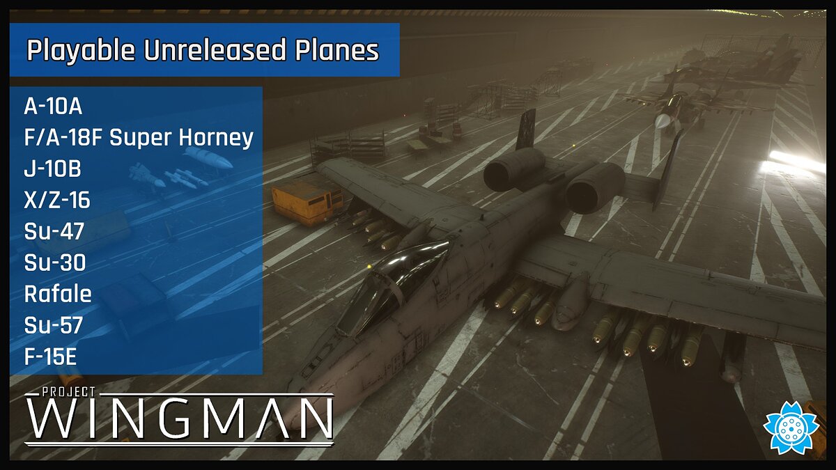 Project Wingman — Unlocking all planes