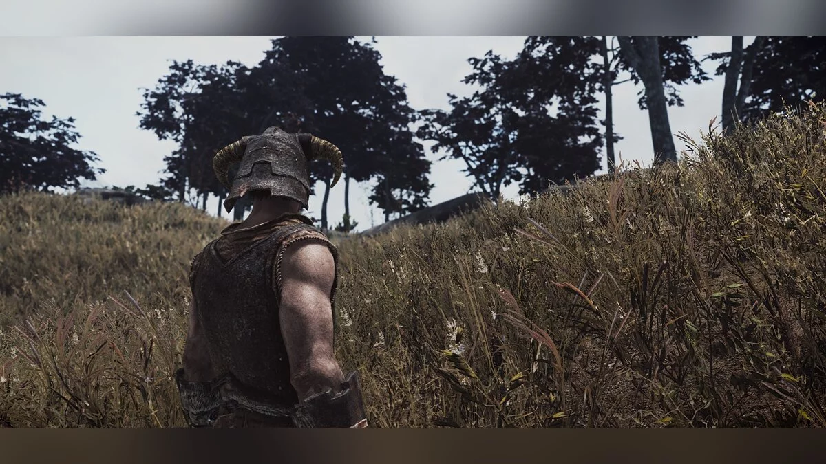 Elder Scrolls 5: Skyrim Special Edition — Улучшенные текстуры травы и земли