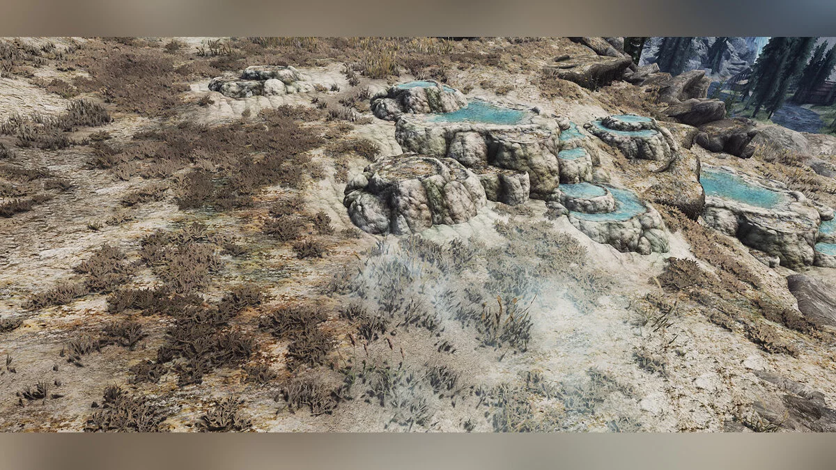 Elder Scrolls 5: Skyrim Special Edition — Улучшенные текстуры травы и земли