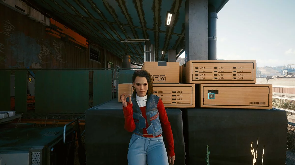 Cyberpunk 2077 — Альтернативне висвітлення персонажа