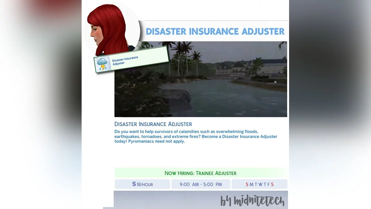 The Sims 4 — Insurer's work