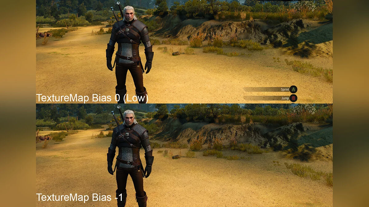 The Witcher 3: Wild Hunt — Hidden TextureMipBias slider