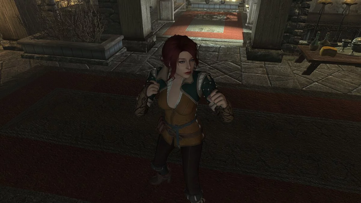 The Elder Scrolls 5: Skyrim Legendary Edition — Компаньон Амелия