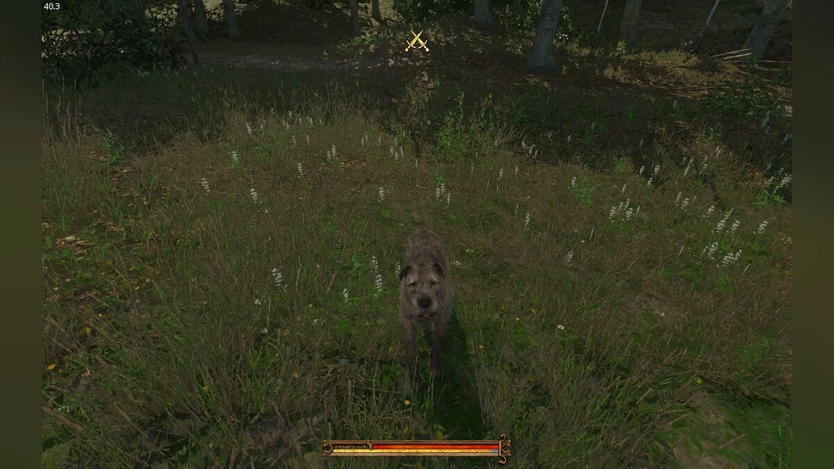 Kingdom Come: Deliverance - Royal Edition — Good dogs