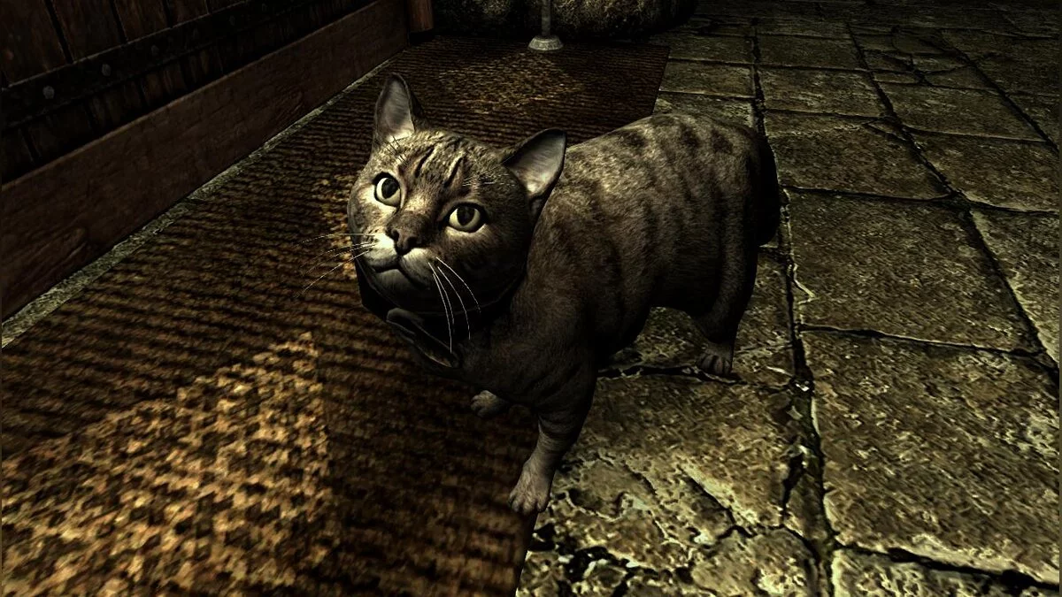 Elder Scrolls 5: Skyrim Special Edition — Домашние кошки