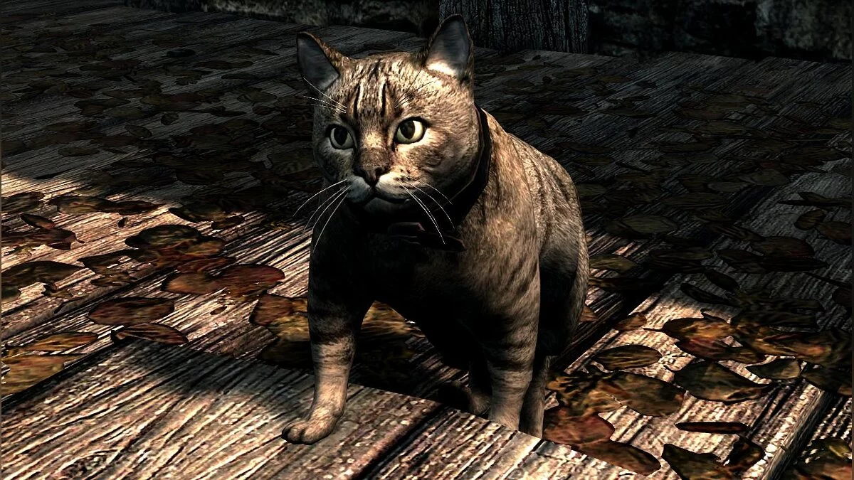 Elder Scrolls 5: Skyrim Special Edition — Домашние кошки
