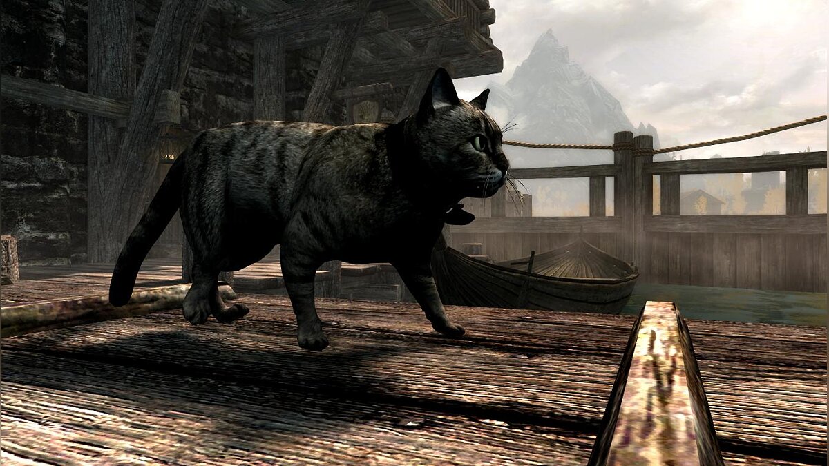 Elder Scrolls 5: Skyrim Special Edition — Domestic cats