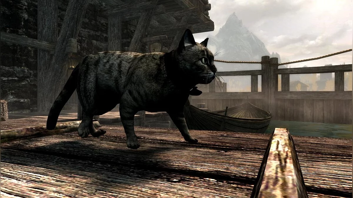 Elder Scrolls 5: Skyrim Special Edition — gatos domesticos