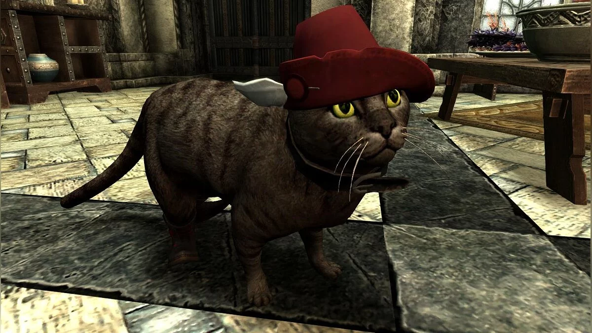 Elder Scrolls 5: Skyrim Special Edition — Домашние кошки