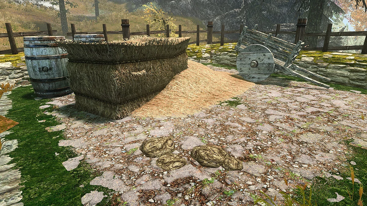 Elder Scrolls 5: Skyrim Special Edition — Коровий навоз