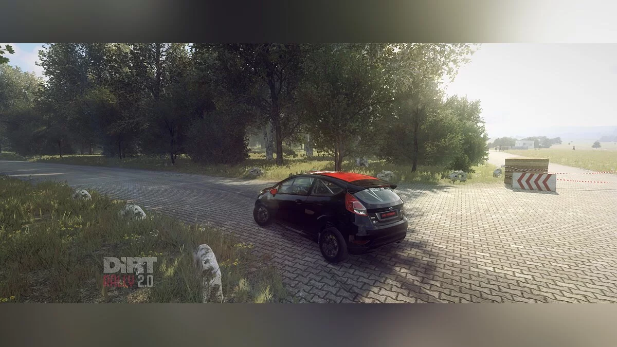 DiRT Rally 2.0 — Чорне забарвлення для Ford Fiesta R2