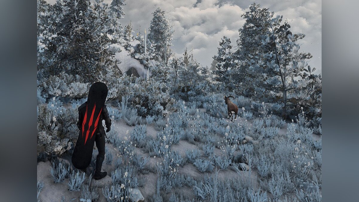 The Witcher 3: Wild Hunt — Snowboard