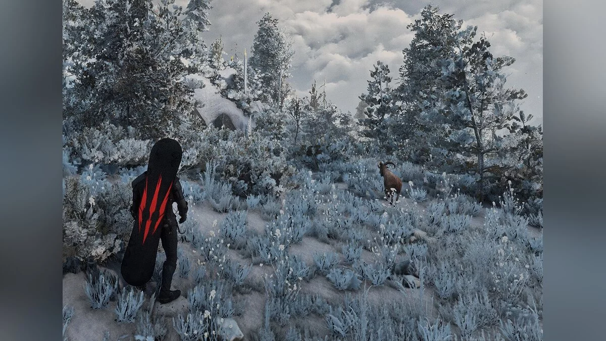 The Witcher 3: Wild Hunt — snowboard