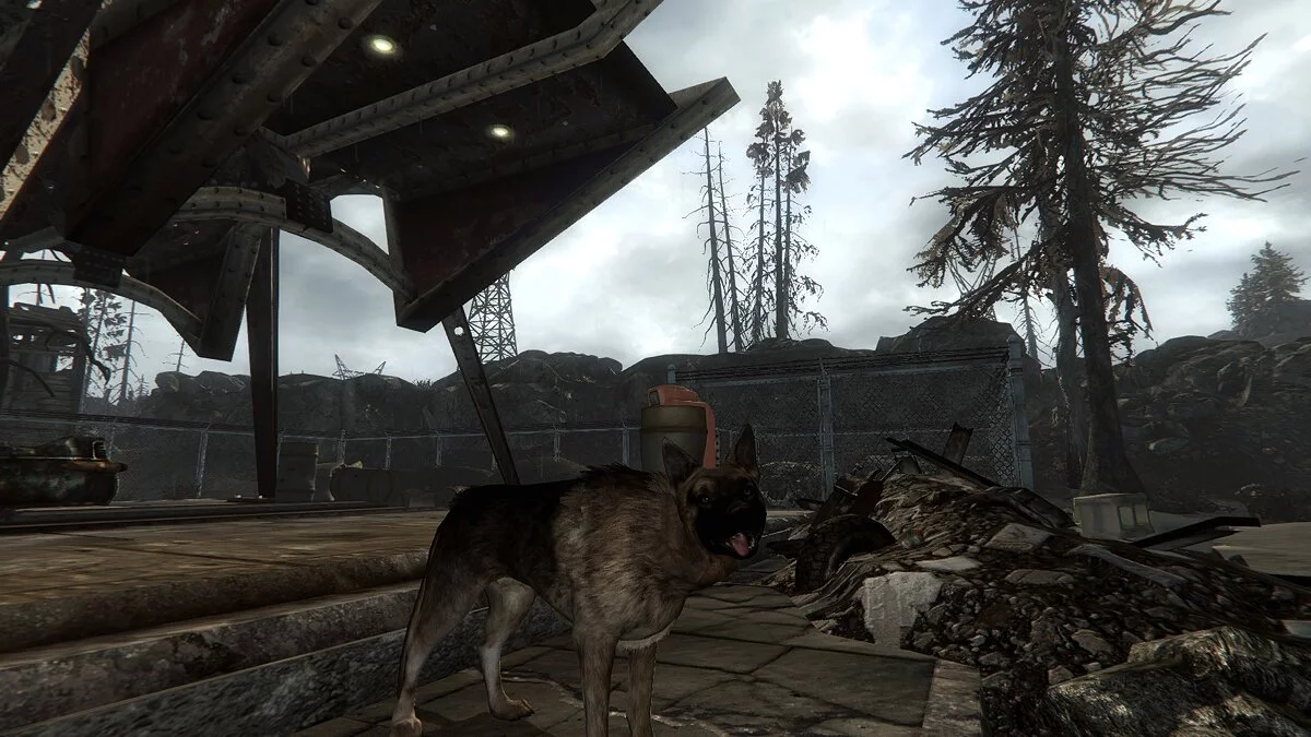 Fallout 4: Game of the Year Edition — Настоящая овчарка