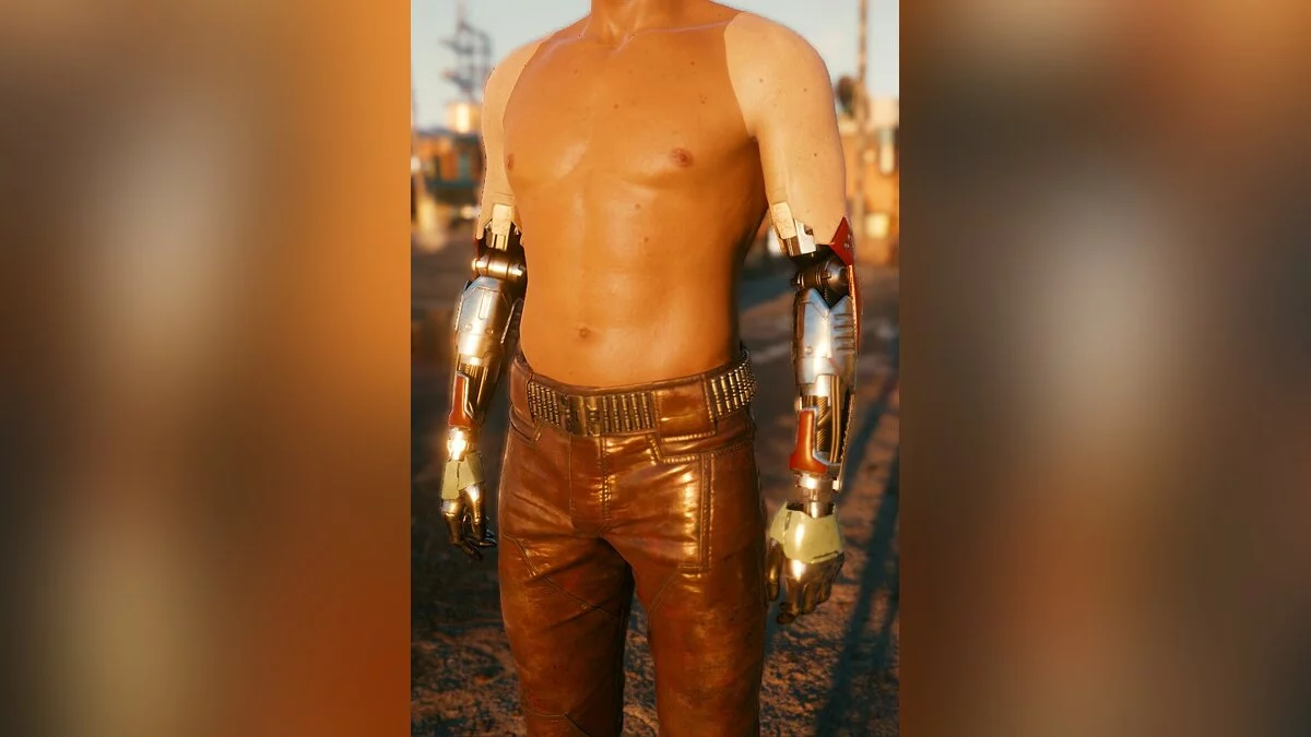 Cyberpunk 2077 — Кіберартс Лібрарі