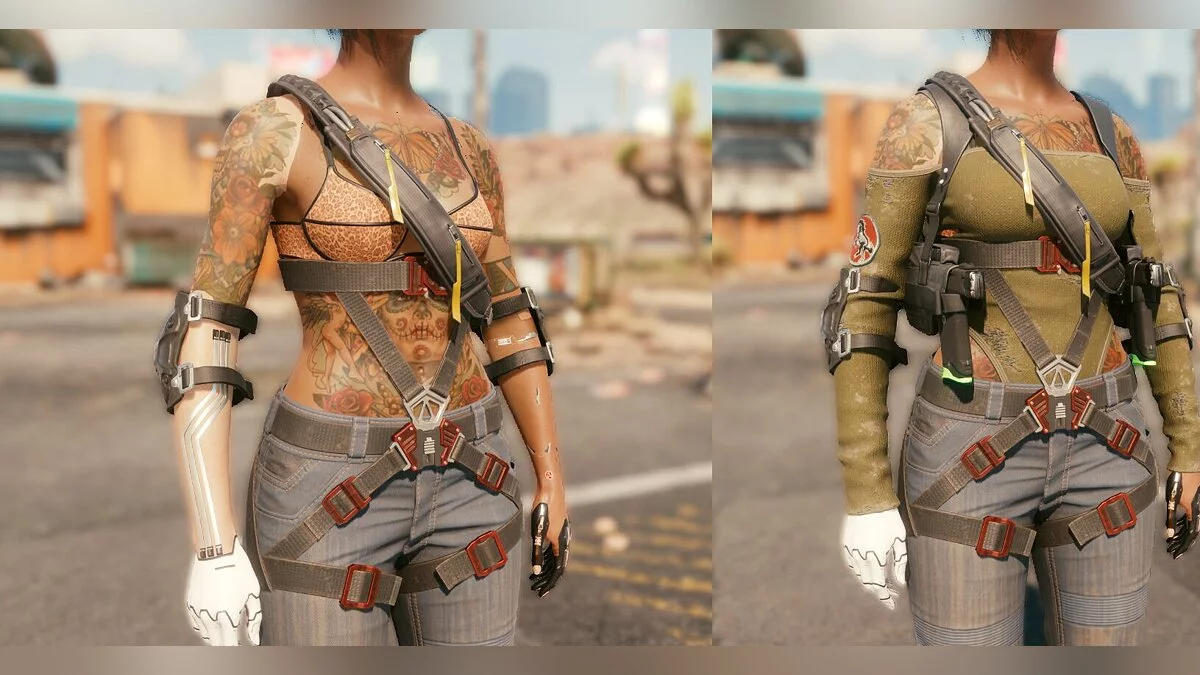 Cyberpunk 2077 — Кіберартс Лібрарі