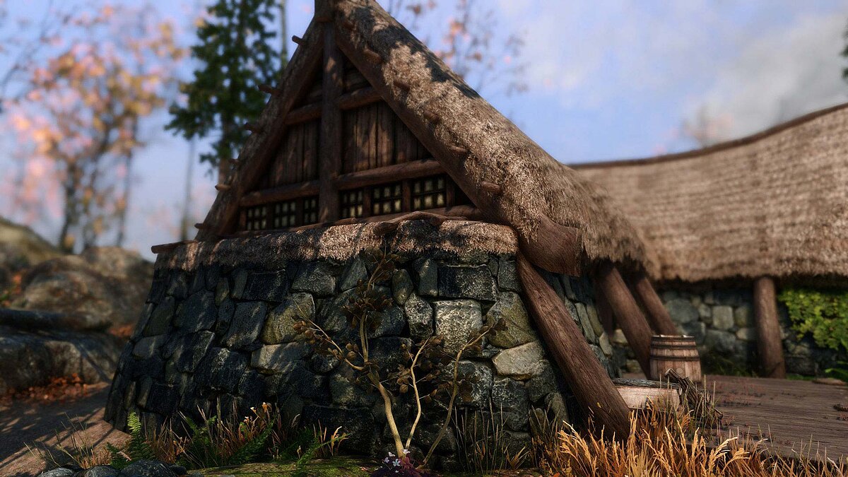 Elder Scrolls 5: Skyrim Special Edition — Full retexture of the exterior and interior in 4K