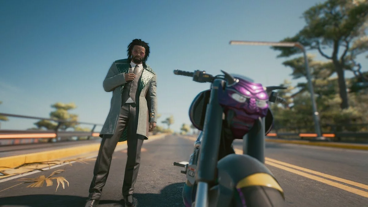 Cyberpunk 2077 — Пресет киберкот