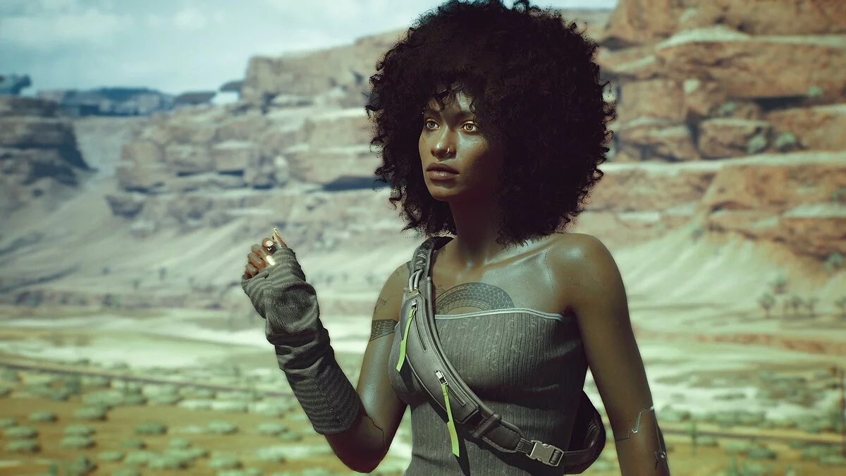 Cyberpunk 2077 — Аксессуары пустоши