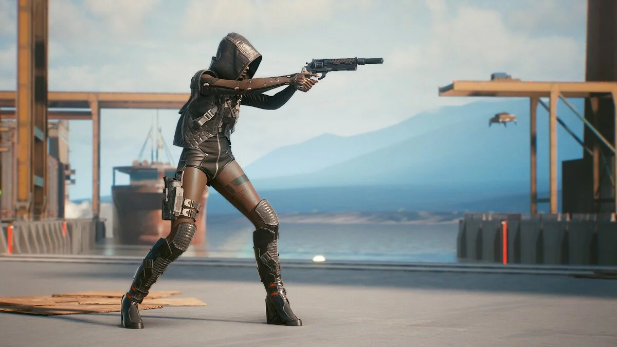 Cyberpunk 2077 — Аксессуары пустоши