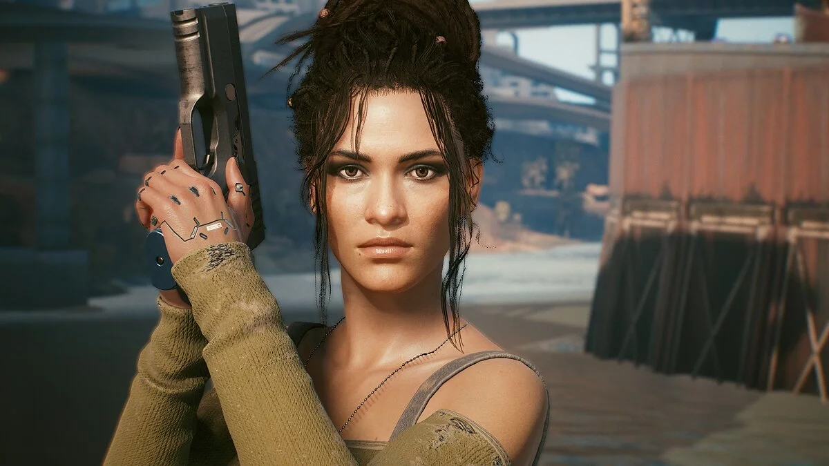 Cyberpunk 2077 — Передустановка Панам
