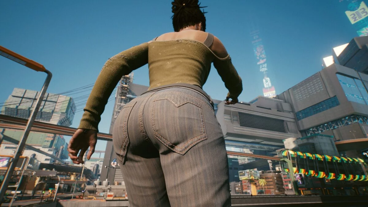 Cyberpunk 2077 — Передустановка Панам