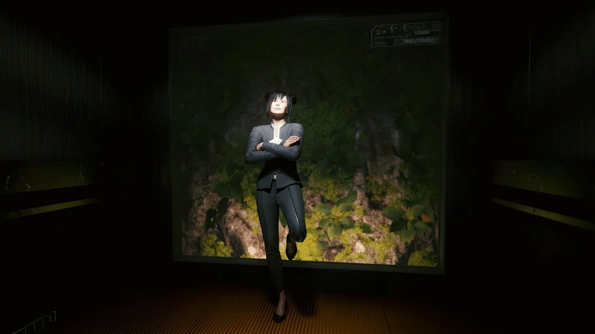 Cyberpunk 2077 — Ви в азиатском стиле