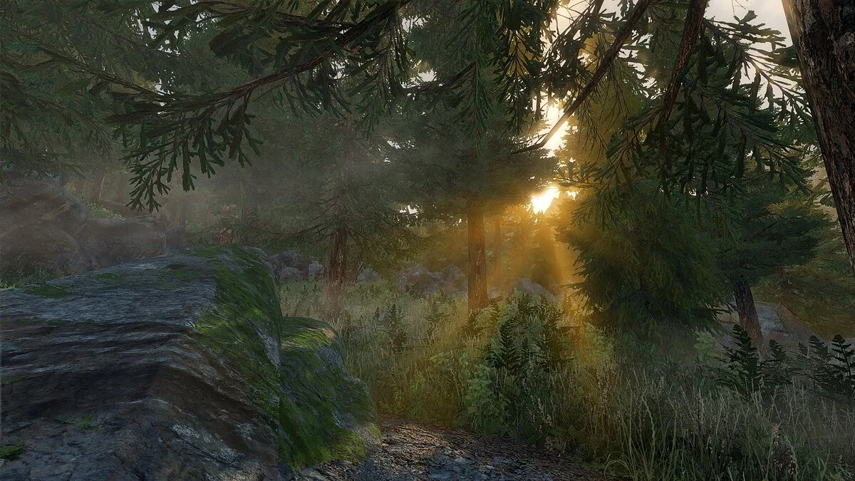 Elder Scrolls 5: Skyrim Special Edition — Динамическое объемное освещение и тени от солнца