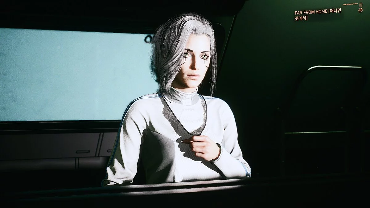 Cyberpunk 2077 — Preset Ciri and Panam