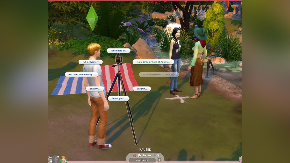 The Sims 4 — Life goal: photographer