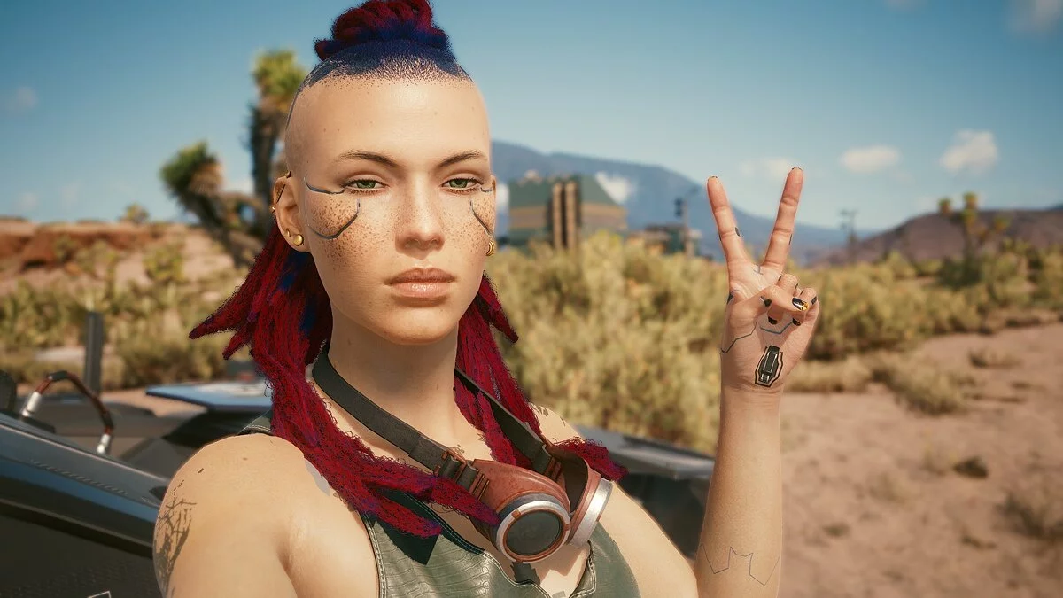 Cyberpunk 2077 — Королева пусток
