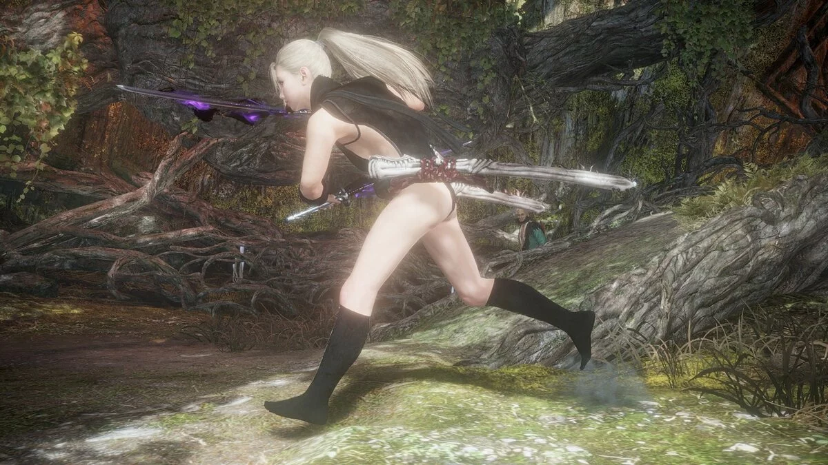 Nioh 2: Complete Edition — Шиноби без рукавов