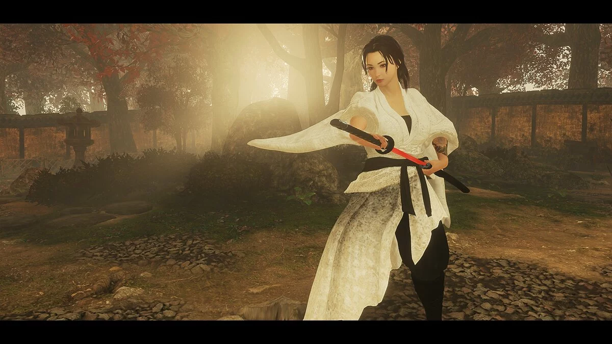 Nioh 2: Complete Edition — Wandering Samurai Clothes